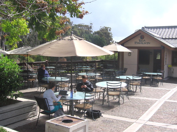 Today's Japanese Tea Pavilion is next to the Friendship Garden and offers many choices of tea and great food.