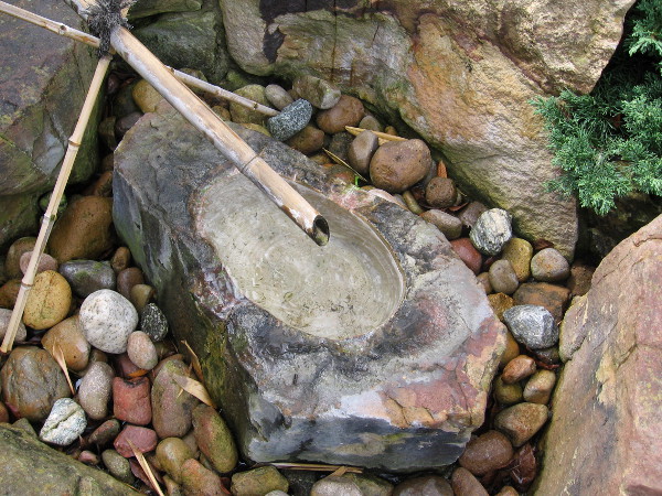 Water gently drips from hollow bamboo, inviting meditation.
