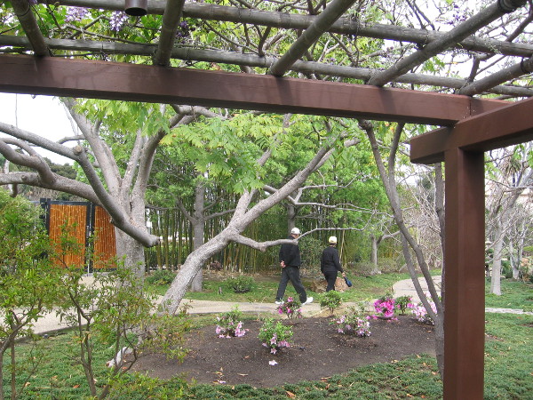 People stroll slowly along a tranquil path in one of San Diego's most beautiful gardens.