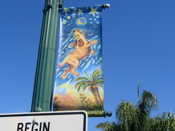 A happy dog tries to jump through space and catch the moon.