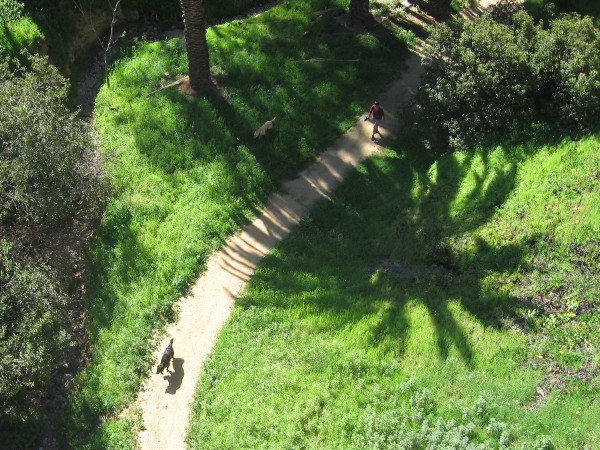 Looking down from the trestle at dogs and walker passing through the canyon below.