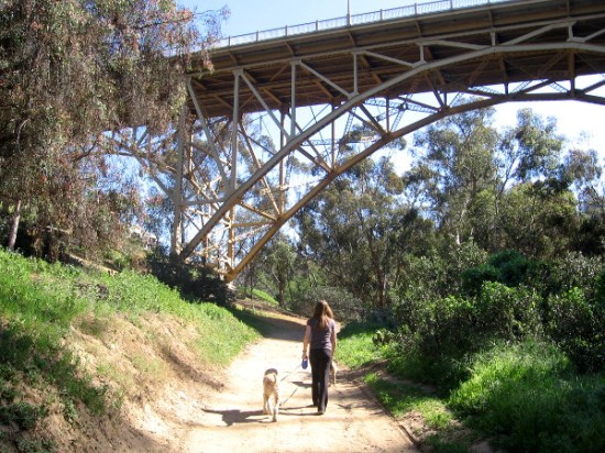 This elegant old steel bridge has very limited traffic.
