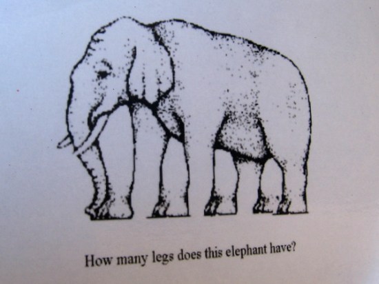 Oh, man! Check this weird elephant out! I love optical illusions!