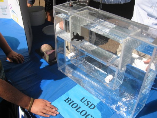This fancy aquarium acts as a flume, used to test the motion of fish and their muscular development.