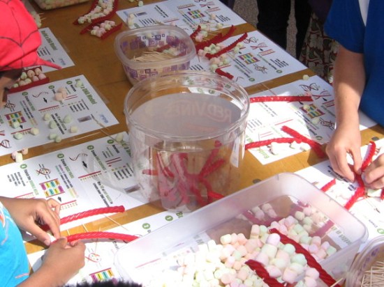 Wow! These youngsters are building DNA models! That's way beyond me!