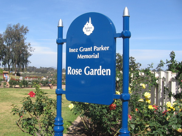The Inez Grant Parker Memorial Rose Garden contains hundreds of blooms of bright color!