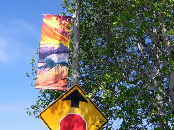 Waves and sunset seem nestled in a tree above a street sign.