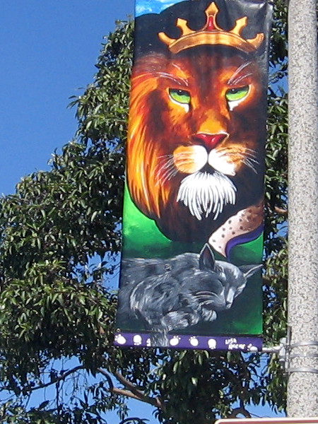 A sleeping cat dreams of being a lion king!