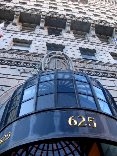 Pointing my camera upward for a cool photo.