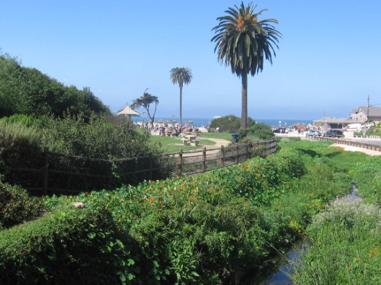 Approaching Moonlight Beach along Cottonwood Creek trail.