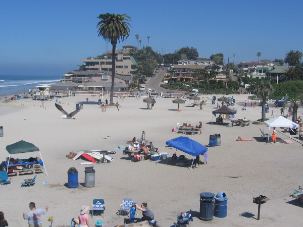 Just another perfect day at Moonlight Beach in Encinitas, California.