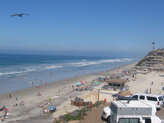 Gazing a short distance along the coast from a scenic overlook point.