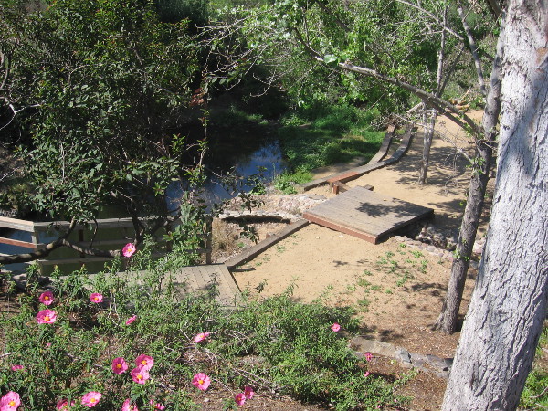 Gazing down at Cottonwood Creek nature trail from Pacific Coast Highway.