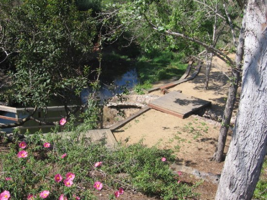 Gazing down at Cottonwood Creek nature trail from Pacific Coast Highway.