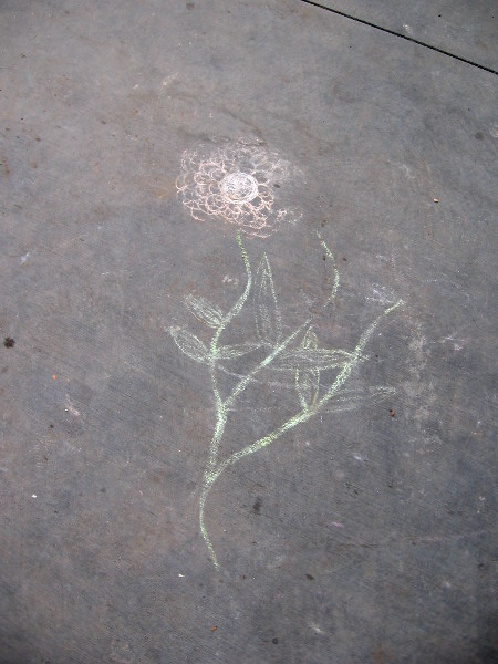 A small delicate flower made of temporary dust.