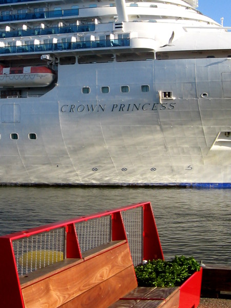 Gull checks out an amazing morning sight. Photo taken from the Broadway Pier.