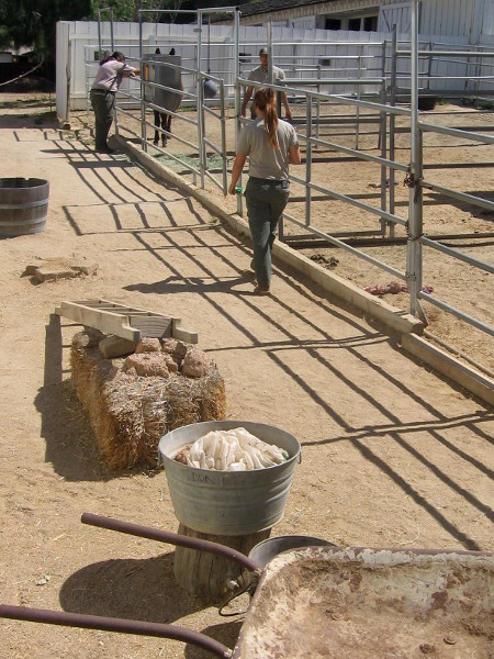 California State Park rangers ahead! I think something cool is up this way!