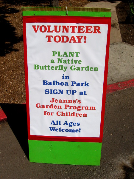 Volunteer today! Plant a butterfly garden in Balboa Park!