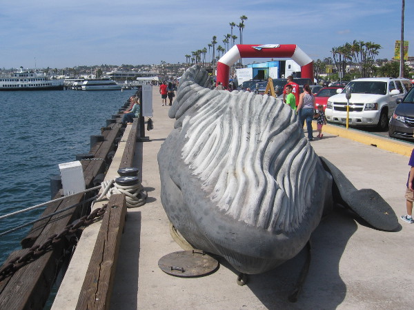 This big inflatable whale allowed humans to grasp the scale of the marine mammal.