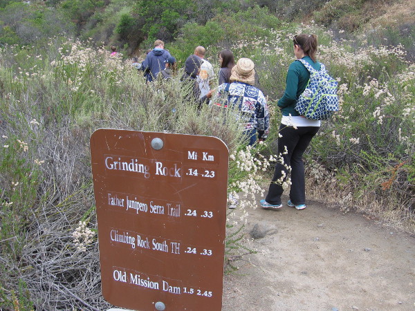 Visitors enjoying Explore Mission Trails Day head down Grinding Rock Trail.