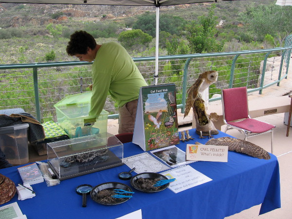 There were opportunities to learn about nature, wildlife, science, history and the environment.