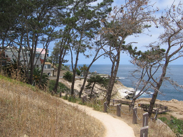 Rounding a corner, shops and restaurants on Coast Boulevard come into view.