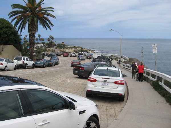 The amazing Coast Boulevard passes La Jolla Cove, Scripps Park, Children's Pool and the La Jolla tide pools!