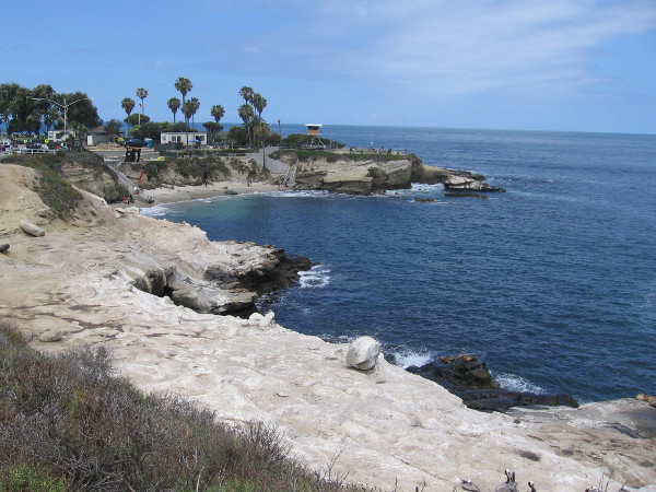 A gorgeous view of La Jolla Cove on a perfect spring day.