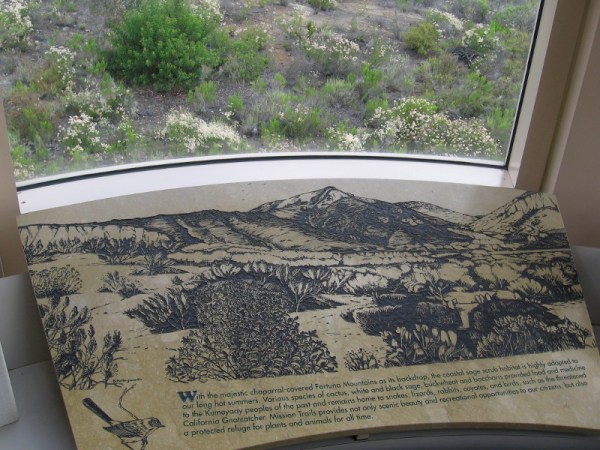 With the majestic chaparral-covered Fortuna Mountains as its backdrop, the coastal sage scrub habitat is highly adapted to our long hot summers.