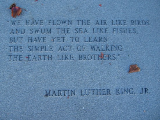 We have flown the air like birds and swum the sea like fishes, but have yet to learn the simple act of walking the Earth like brothers.