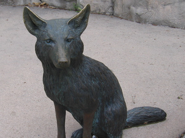 Sculpture of a coyote, one the top predators of Mission Trails Regional Park. Even with human encroachment, they remain numerous today.
