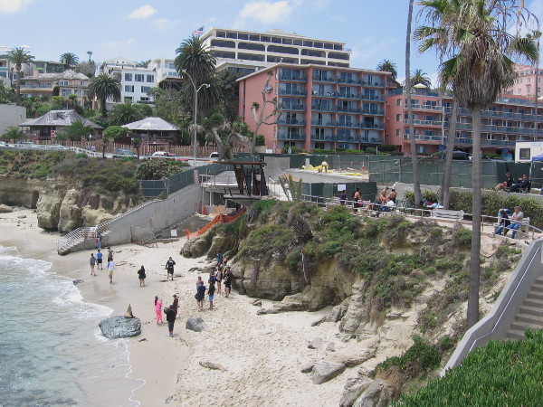 Looking down at La Jolla Cove Beach from the north. Buildings along Coast Boulevard are surmounted by those on Prospect Street.
