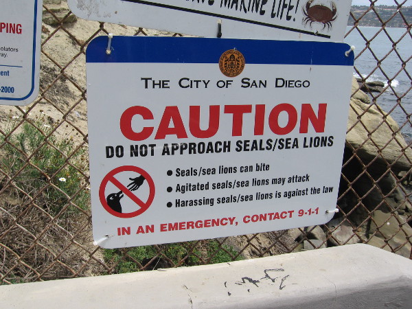 City of San Diego sign provides a warning. Caution, do not approach seals or sea lions! Harassing these marine mammals is against the law.
