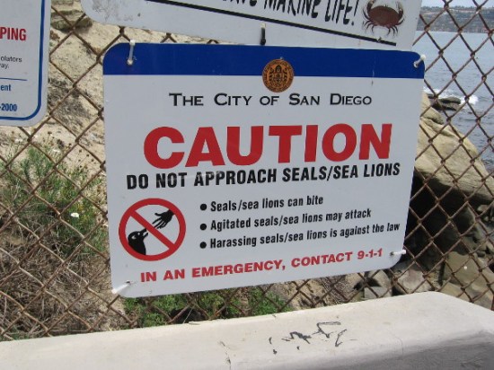 City of San Diego sign provides a warning. Caution, do not approach seals or sea lions! Harassing these marine mammals is against the law.