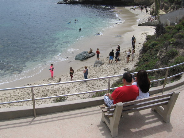 Some benches allow people to enjoy the view. Scuba divers in the cove swim with the sea life.