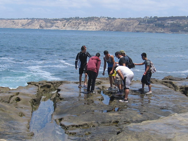 Some of those curious humans are grouped around a small tide pool in the rock looking for sea life.