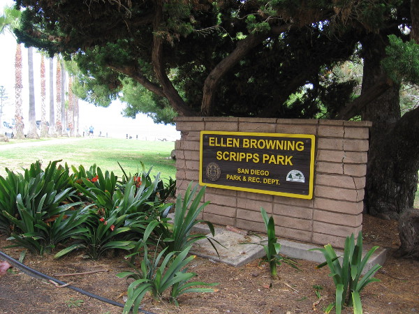 Ellen Browning Scripps Park is reported to be the most photographed spot in San Diego.