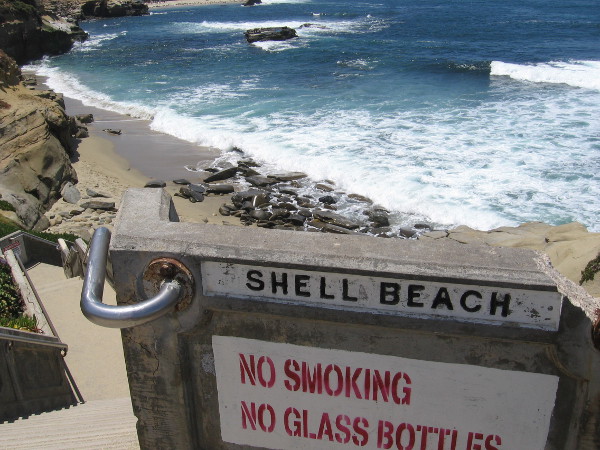 Shell Beach is one of many tiny sandy nooks that can be found among the rocky cliffs.