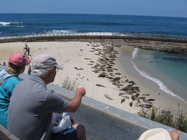 Legal disputes have entangled Children's Pool over the years. The facility was created in 1931 by benefactor Ellen Browning Scripps as a safe spot for children to swim.