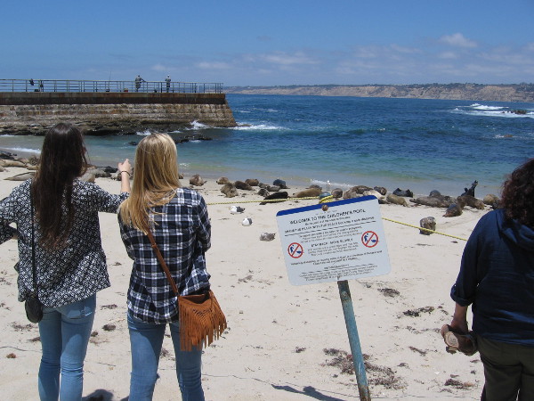 Fisherman on the protective sea wall have cast their lines into the blue Pacific Ocean.