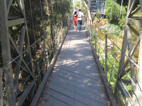 Couple crosses Kate Sessions Canyon on a cool 375 foot long suspension bridge!