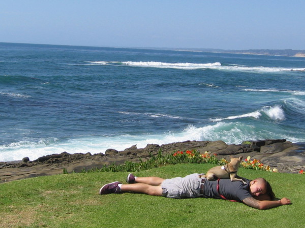 A dog takes a happy rest by some flowers as the surf rolls in.