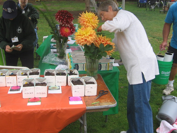 These friendly folks explained that dahlia blooms can be as large as fourteen inches!