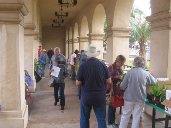 Lots of plants were for sale in the park, including on the Casa del Prado patio.