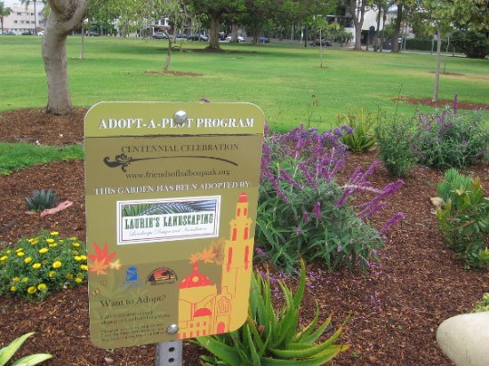 One example of Balboa Park's Adopt-A-Plot volunteer gardening program--this plot is in Sefton Plaza.