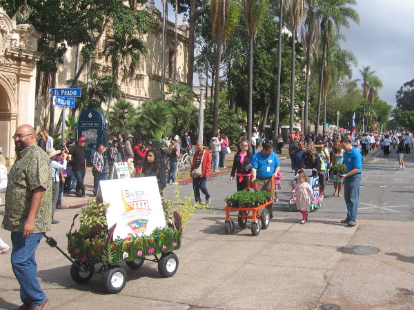 Kids, families, wagons and flowers. An overcast day after our recent stormy weather.