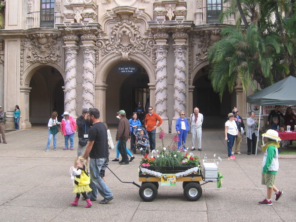 A bee is followed by a beekeeper!