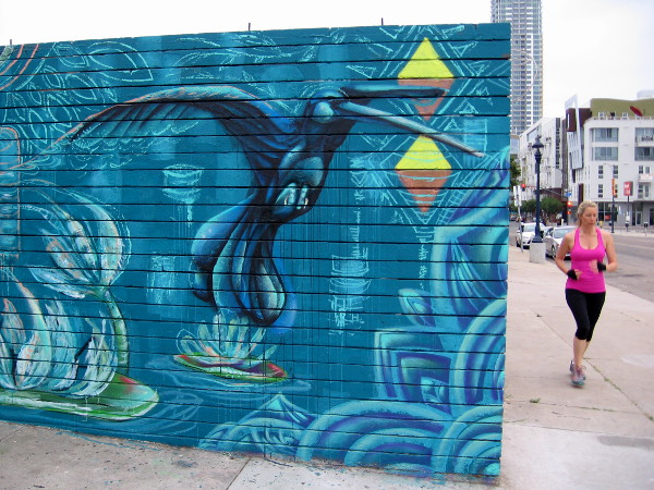 A hummingbird seems attracted to a jogger coming down an East Village sidewalk.