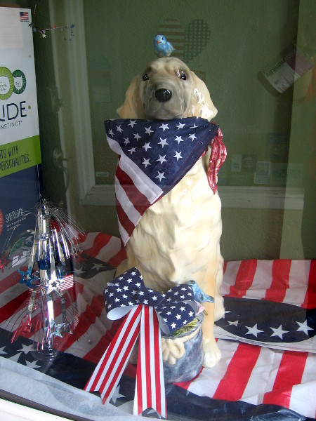 A shop window had a dog with a red, white and blue bow!