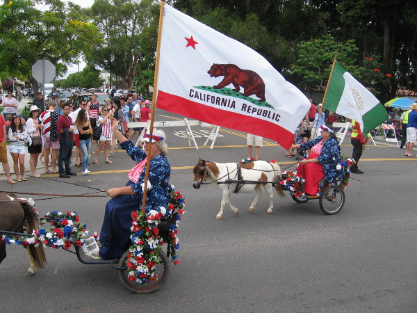 Red, white and blue flowery carts are pulled by miniature horses!